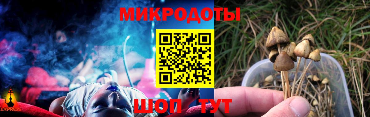 Галлюциногенные грибы MAGIC MUSHROOMS Коряжма
